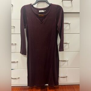Calvin Klein Deep Burgundy Long Sleeve Dress